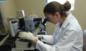 ciencia del envejecimiento